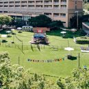 케이크앤펫 (cake&pet) | &#34;&#39;멍패커룸&#39;부터 &#39;부총지배견&#39;까지&#34;... 숙박업계, 반려견 맞춤 서비스 열전