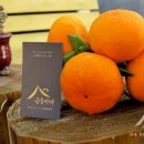 제주대가족독채숙소근동이네독채 이미지