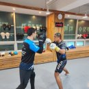 송천미트