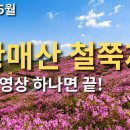 황매산 철쭉제 이미지