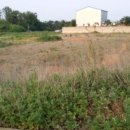 장명초등학교 이미지