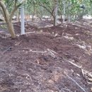 서당농장 이미지