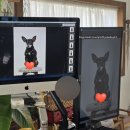 잇츠멍 | 빼꼼샷 / 미니핀 / 서울 송파 강아지 증멍사진 / 잇츠미 스튜디오 / 석촌호수 삼전동/ 서울 송파 반려...