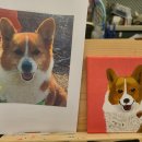 콩지네 부엌 이미지