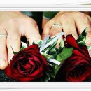 감성꽃자수 이미지