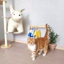 포인사이트 이미지