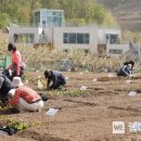 배나무농장 이미지