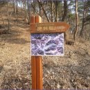 부일리 이미지