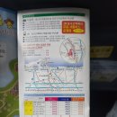 지금 혼자 떠나기 좋은 곳 요나고 3박4일 자유여행