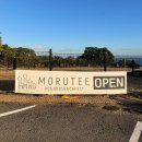 모루티 | 제주 서귀포 바다뷰 애견카페 모루티