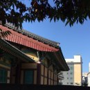 유림-1011 이미지