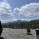 포레스트소울 | 포레스트 소울 캠핑장(A4사이트) 후기