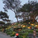 🚗 18개월 아기와 할미차로 좌충우돌 대천 1박 2일 여행기