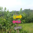 고개너머 동향길 이미지