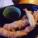 청춘연어 이미지