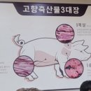 한가득축산물 - 계양구 경명대로 1077 | 한가득축산물