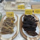 프리미엄 펫토리 이미지