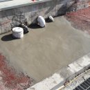 유림-1157 이미지