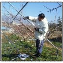 한새농원