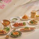 스파 앤 컷 이미지