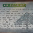 막창대통령 - 수성구 | 막창대통령
