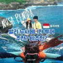 서부약국 | 발리 여행 코스, 누사페니다 스노쿨링 서부섬 투어 추천 복장, 준비물