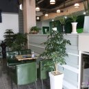 현진스크린골프연습장 이미지