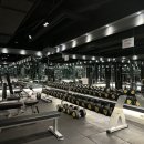 원헬스PT 이미지