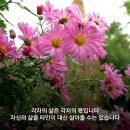 나는 내 몫을, 너는 네 몫을 이미지