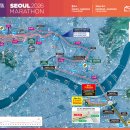 동아 | 20260315 서울동아마라톤 후기