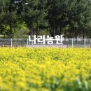 양주농원 이미지
