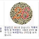 파프리카안경 수영점 이미지