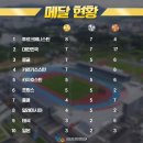 2019충주세계무예마스터십 순위및 메달현황 이미지