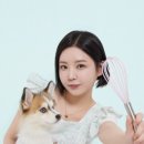 댕댕부엌 네이버블로그