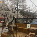 카페슬로비