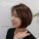커티즘바이 이미지