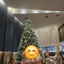 패밀리당구존 이미지