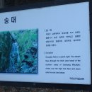 무주 마실 이미지