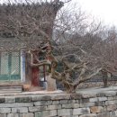 20200105(일) 변산과 고창군