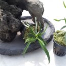 선유어린이집 이미지