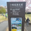 남부-신정-신정04 | [2025. 04. 15. – 5] 코미네성터(1)