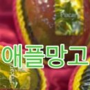 대림청과 - 서대문구 영천시장길 8 | 대림청과
