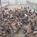 안덕의원 이미지