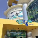 81 | 오산_ 오산시 제 81회 식목일 행사 " 내 나무 갖기" 캠페인 후기