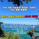 2025.03월1~2/47회차 여수 금오도~여수관광(진행중) 이미지