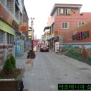 산호식당 티스토리