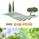 돈낙지 | 방이동 오봉집 방이점 내 돈 내산, 직화 낙지볶음과 녹두전 솔직후기