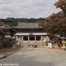 동화사 이미지