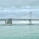 룩앳더바리스타 | 부산 광안리 오션뷰 카페 주차 내돈내산 광안대교뷰 룩앳더바리스타