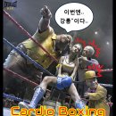 팀엑스복싱 | 공릉복싱,사우스포복싱클럽/강릉 팀엑스복싱 이벤트클래스 / 카디오복싱 후기